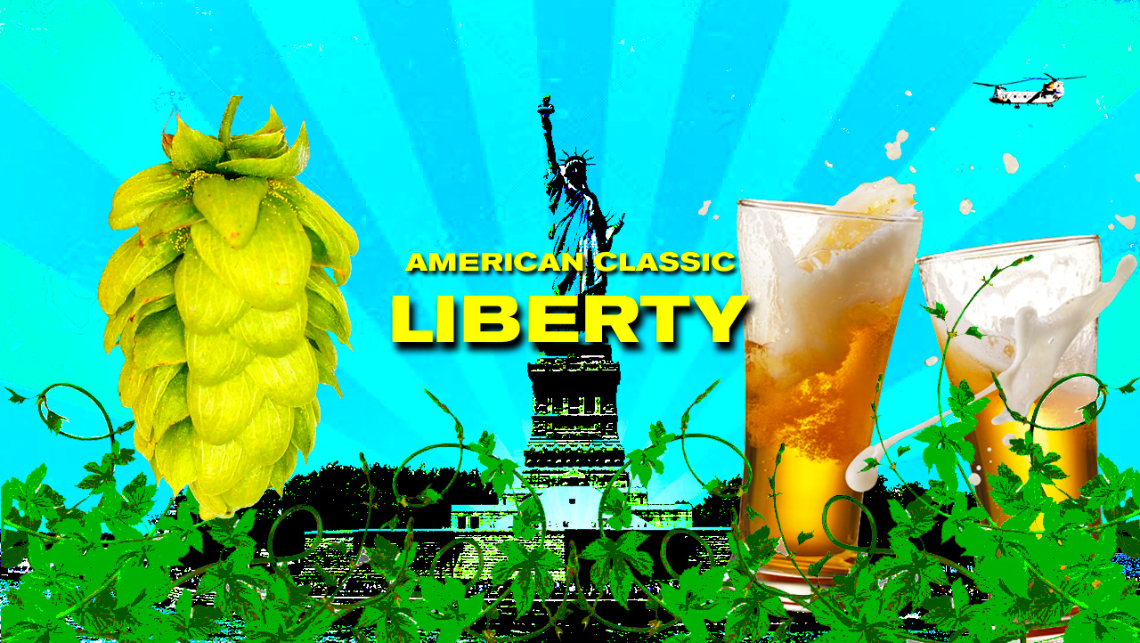 Lager & Pilsner Home Brew Recipe Book