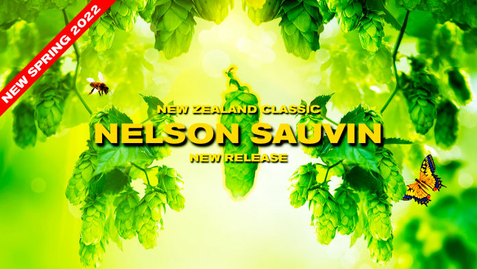 Nelson Sauvin hop plants for sale