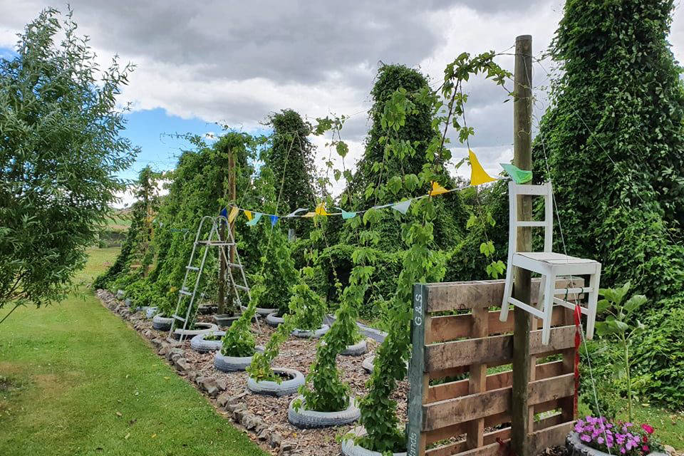 Southland Hop Gardens